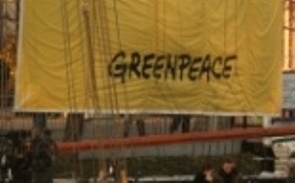 greenpeace 3